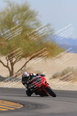 media/Nov-05-2022-SoCal Trackdays (Sat) [[f8d9b725ab]]/Turn 4 Tree of Life (125pm)/